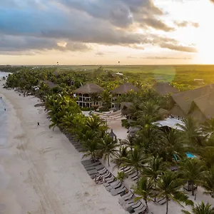 Otel Mia Tulum Beachfront Resort - Ocean View Suites And Beach Club, Tulum